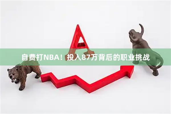 自费打NBA！投入87万背后的职业挑战
