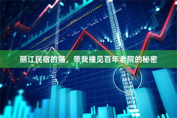 丽江民宿的猫，带我撞见百年老院的秘密